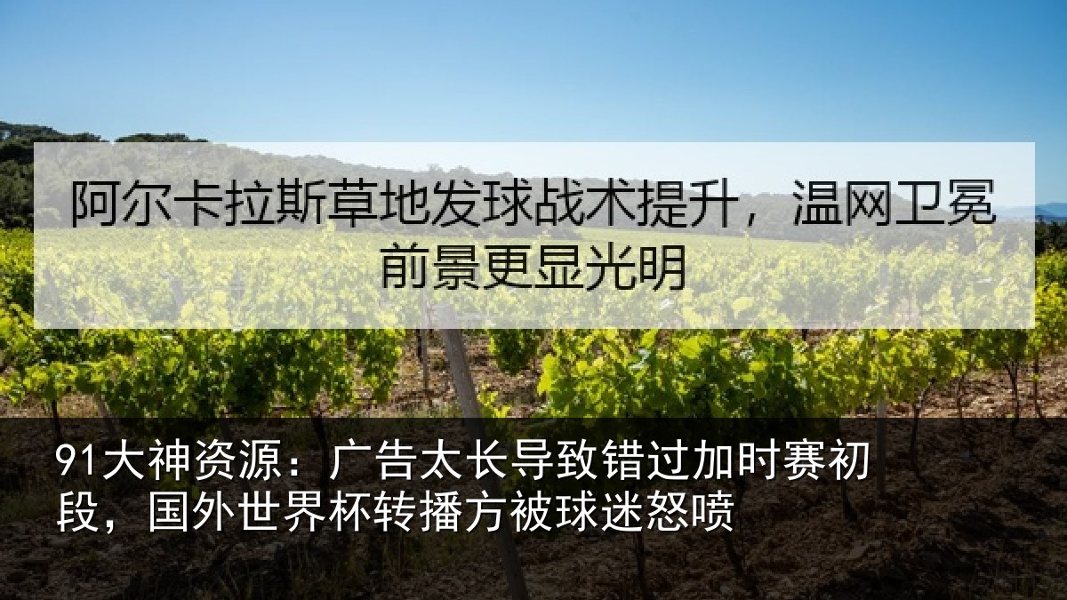 91大神资源：广告太长导致错过加时赛初段，国外世界杯转播方被球迷怒喷
