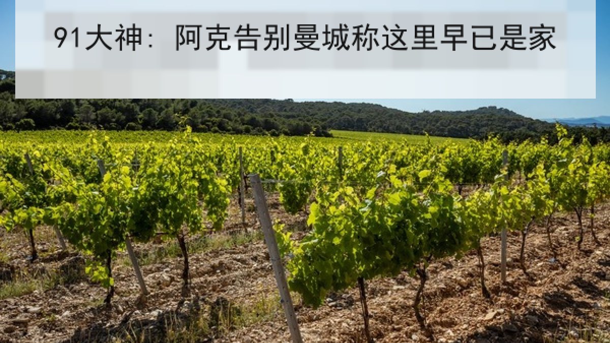 91大神: 阿克告别曼城称这里早已是家