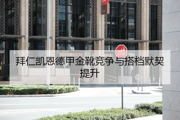 拜仁凯恩德甲金靴竞争与搭档默契提升