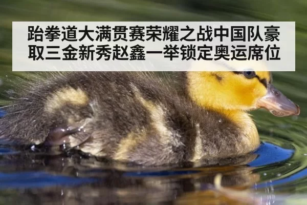 跆拳道大满贯赛荣耀之战中国队豪取三金新秀赵鑫一举锁定奥运席位