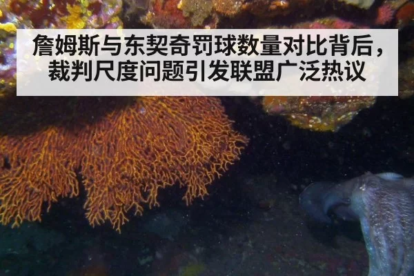 詹姆斯与东契奇罚球数量对比背后，裁判尺度问题引发联盟广泛热议